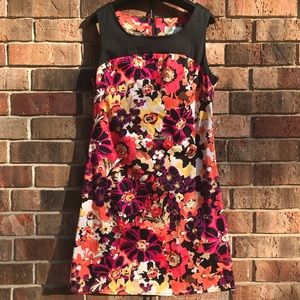 🌹DBY FITTED DRESS ZIPS IN BACK SIZE 10❤️